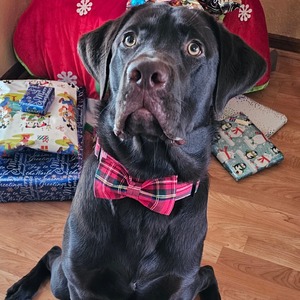 Fundraising Page: Kendall Griggs